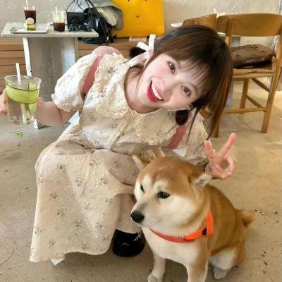 纯白之恋