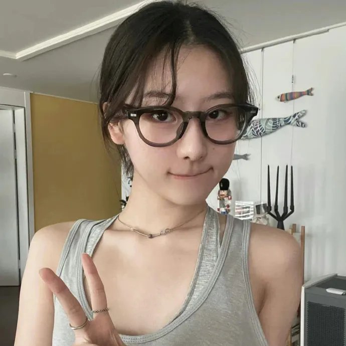 老鹰舰队